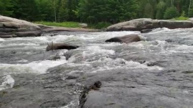 Pabineau Falls, New Brunswick, Kanada 'da beyaz su akıyor.