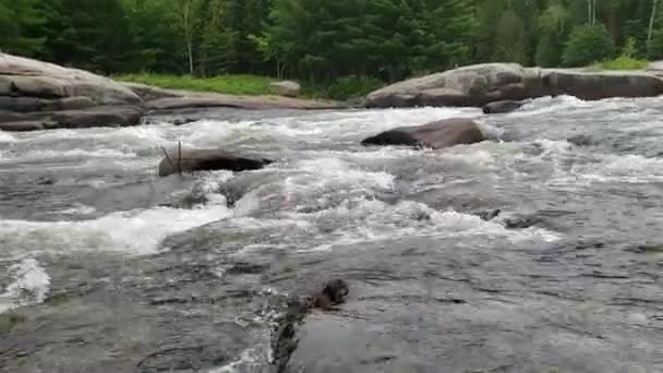 Vitt vatten rusar på Pabineau Falls, New Brunswick, Kanada — Stockvideo