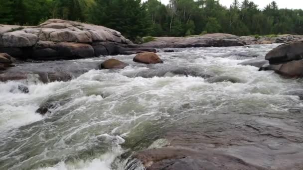 Acqua bianca che scorre al rallentatore a Pabineau Falls, New Brunswick, Canada — Video Stock