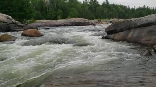 Bílá voda proudící k Pabineau Falls, New Brunswick, Kanada — Stock video