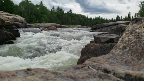 Acqua bianca che scorre veloce alle cascate Pabineau, Nuovo Brunswick, Canada — Video Stock