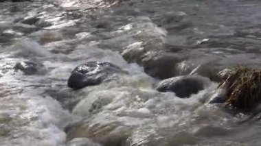 Sturgeon Deresi 1