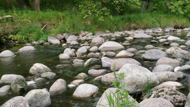 Vatten Som Rinner Över Klippor Vid Sturgeon Creek Winnipeg Manitoba — Stockvideo