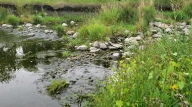 Sturgeon Creek, Winnipeg, Manitoba, Kanada 'daki kayaların üzerinden akan su