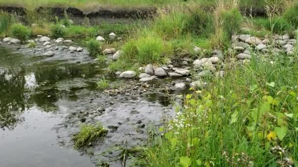 Voda Tekoucí Přes Skály Sturgeon Creek Winnipeg Manitoba Kanada — Stock video