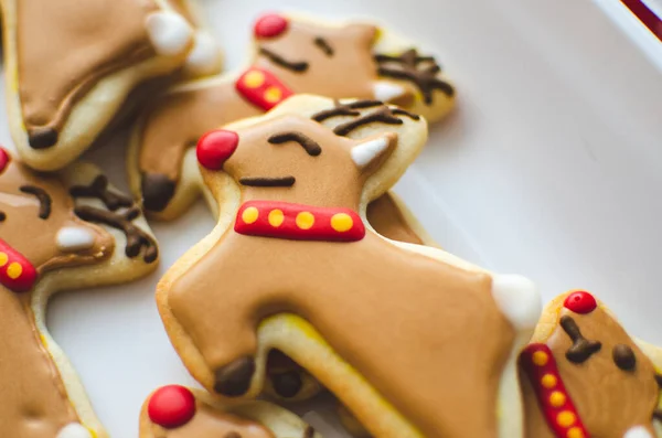 Detailní Záběr Domácí Rudolf Red Nosed Reindeer Vánoční Cukroví — Stock fotografie