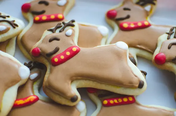 Detailní Záběr Domácí Rudolf Red Nosed Reindeer Vánoční Cukroví — Stock fotografie