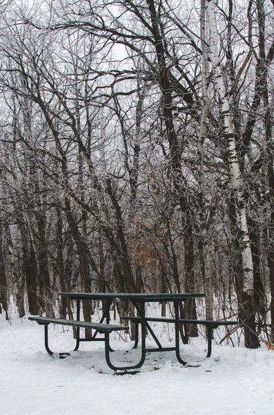 Picnic table in the snow at Assiniboine Forest in Winnipeg, Manitoba, Canada