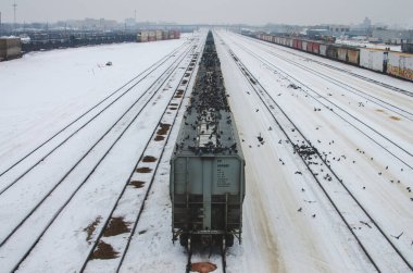 Yüzlerce güvercin kışın Winnipeg, Manitoba, Kanada 'daki CN Winnipeg Yard' da tren vagonlarının tepesine tünedi.