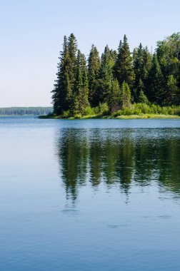 Ördek Dağı taşra parkında göl ve orman, Manitoba, Kanada
