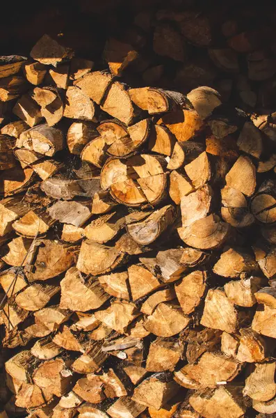 Pile Stacked Firewood — Stock Photo, Image
