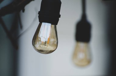 Asmalardan sarkan Edison ampulleri