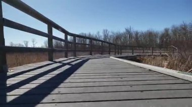 Assiniboine Ormanında Bahar Eriyen Karlar ve Aspen Ağaçları