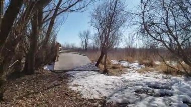 Assiniboine Ormanında Bahar Eriyen Karlar ve Aspen Ağaçları