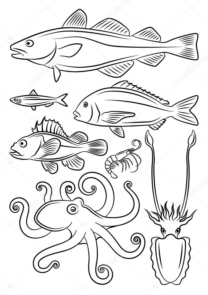 Fishes in black and white