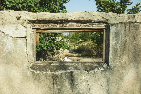 old window with forest