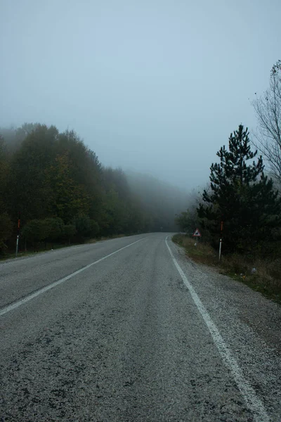 Estrada Através Floresta Nevoeiro Uma Bela Tempestade — Fotografia de Stock