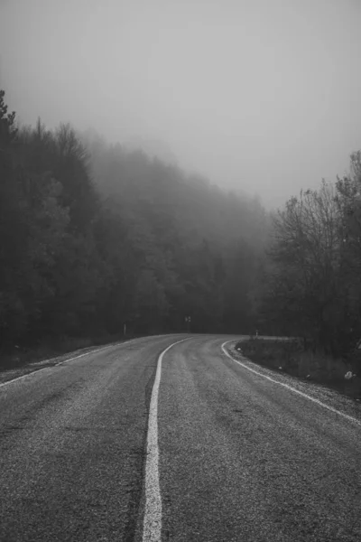 Zwart Wit Foto Van Een Weg Door Het Bos — Stockfoto