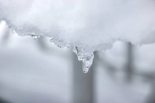 Buz açık havada makro fotoğraftır.