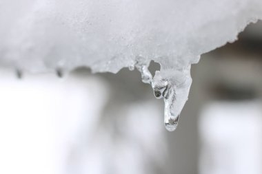 Buz açık havada makro fotoğraftır.