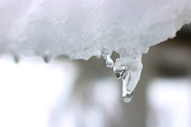 Buz açık havada makro fotoğraftır.