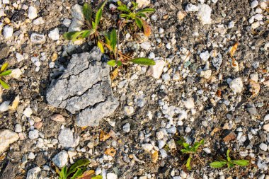 Beyaz ve kahverengi bir taşın yakın plan çekimi.