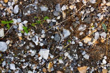 Beyaz ve gri bir taşın yakın plan çekimi.