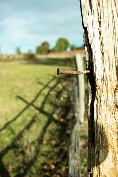 Plan Vertical Une Clôture Bois Avec Fil Barbelé — Photo