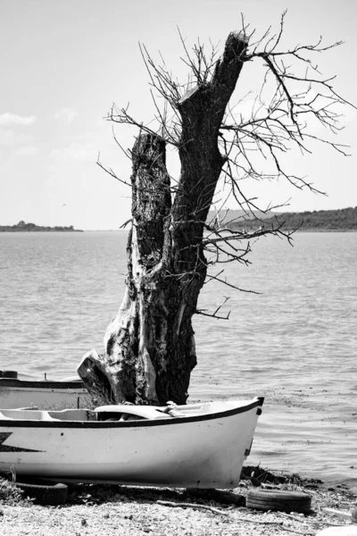 Sahildeki bir balıkçı teknesinin siyah beyaz fotoğrafı.