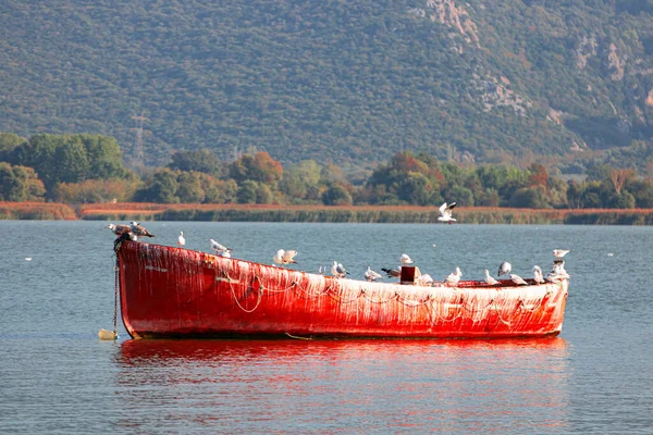 Barca Sul Lago — Foto Stock