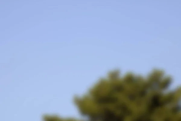 Bokeh ve parlak ışıklarla bulanık arkaplan