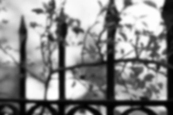 Bulanık soyut odaklanmış bokeh arkaplanı.