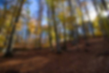 Bulanık soyut odaklanmış bokeh arkaplan