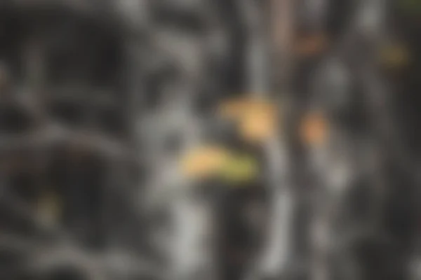 Bali Endonezya Seyahat Tema yaratıcı bulanıklık bokeh etkisi ile arka plan