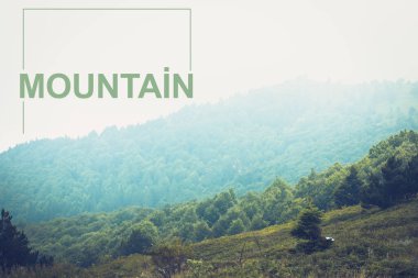 Dağlarda yeşil çimenler. dağ yazması