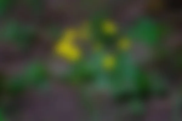 Abstract Green Blur Bokeh Background — Stock Photo, Image