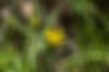 Odaklanmış bulanık arkaplan, bulanık hareket boyası