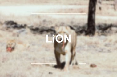 Aşk sözcüğü sahilde