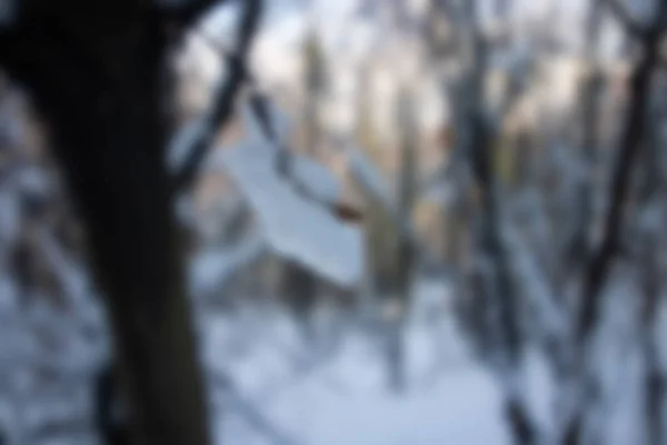 Verschwommener Hintergrund Von Menschen Die Auf Dem Dach Des Waldes — Stockfoto