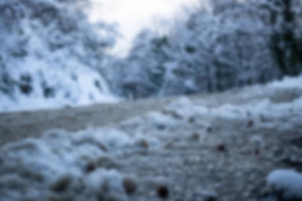 雪に覆われた木々の抽象的な背景 — ストック写真