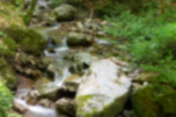 Zielony Potok Górski Lesie — Zdjęcie stockowe
