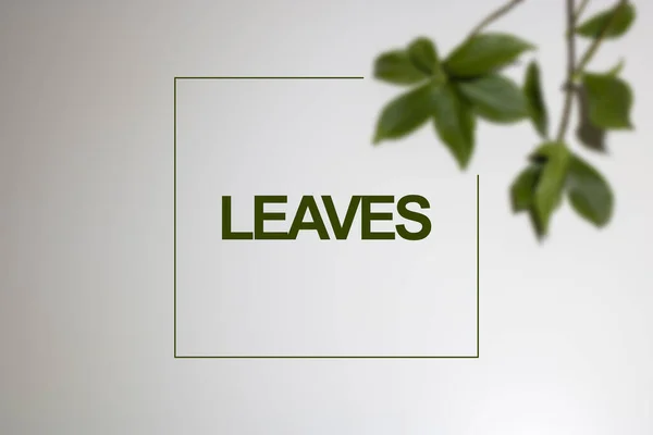 Grünes Blatt Mit Weißem Schild Auf Blauem Hintergrund — Stockfoto