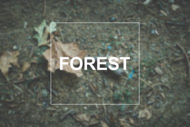Orman kelimesi arka planda, yaz doğa kavramı