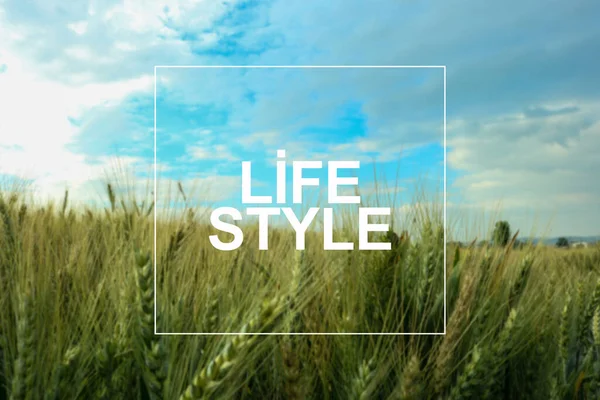 Alan arkaplanlı sözcük yaşam biçimi metni.