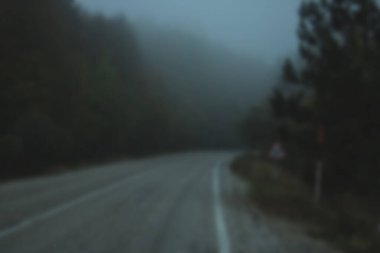 Ormanın arka planında yol