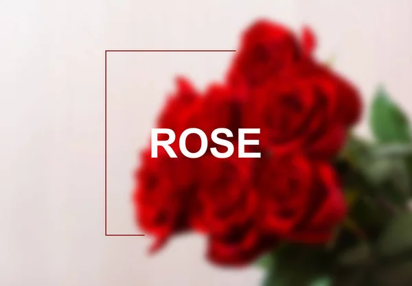Fleur Rouge Flore Nature Rose Écrire — Photo