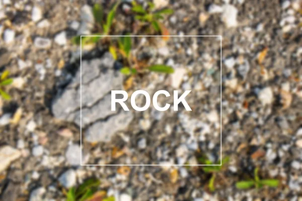 Selective Focus Shot Beautiful Young Girl Leaves Flowers Rock Write — Stock Photo, Image