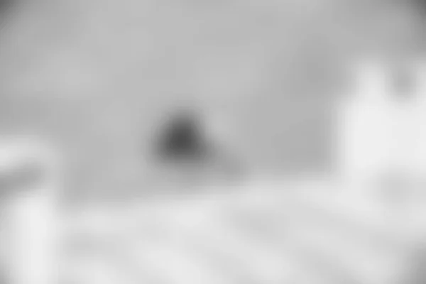 Bird Blurred Background Black White Colors — Stock Photo, Image