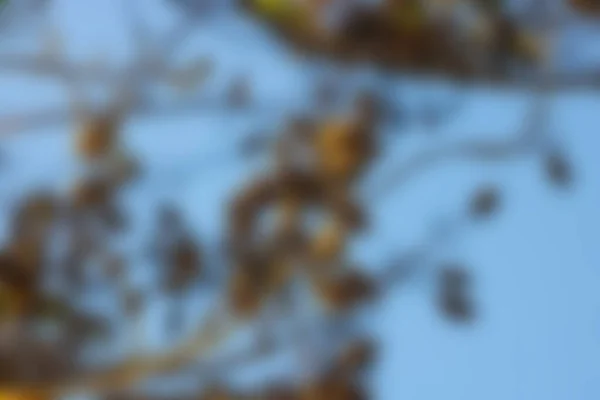 Bokeh ve bulanık efektli bulanık arkaplan