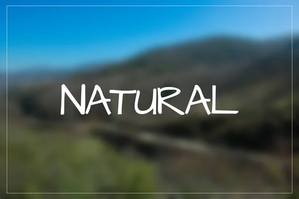 Palavra Natural Desfocado Natural Floresta — Fotografia de Stock